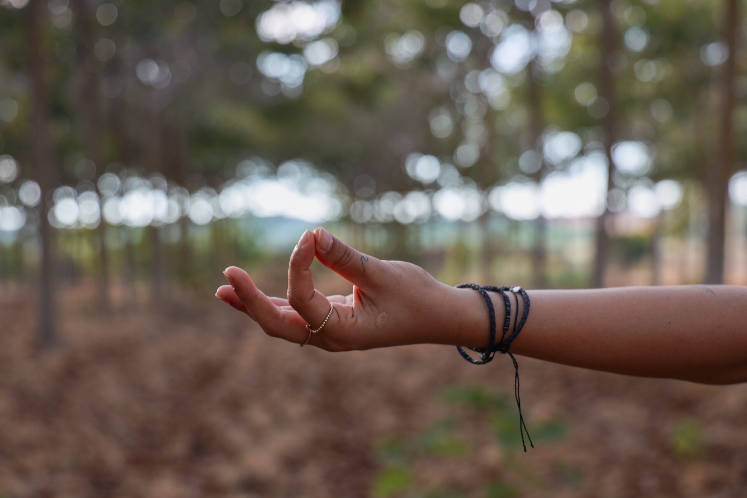 mor-shani-vr0qTmmHf84-unsplash